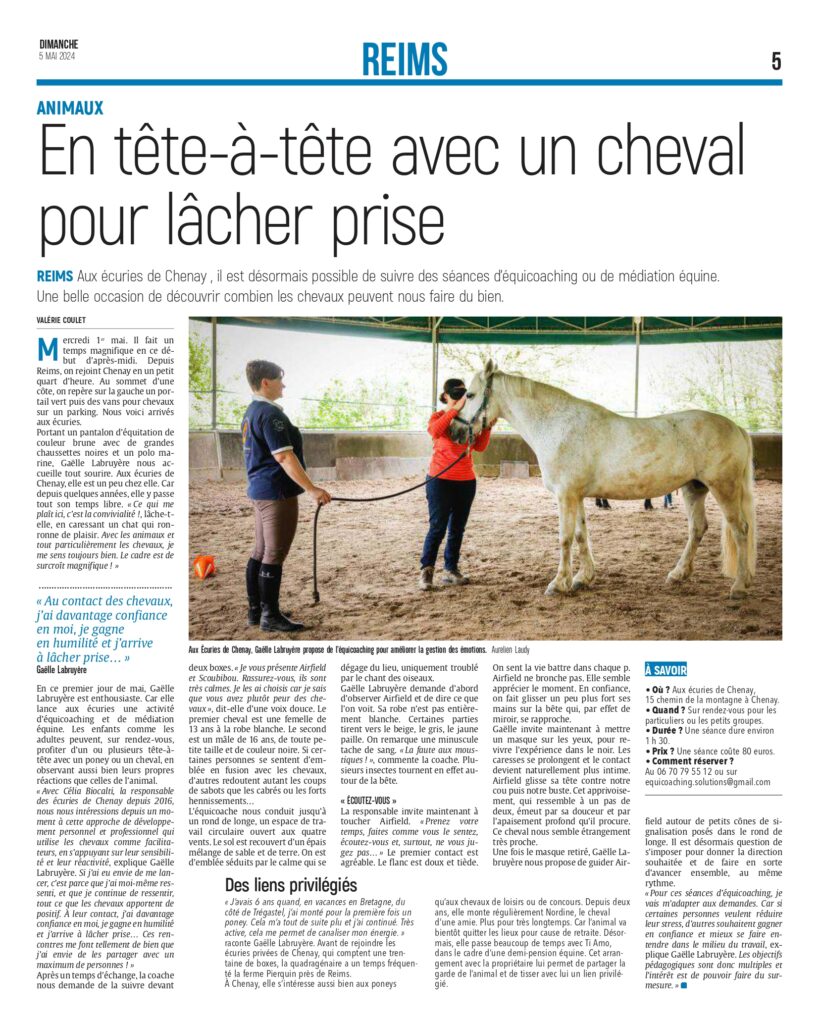 article presse équicoaching et médiation équine près de reims