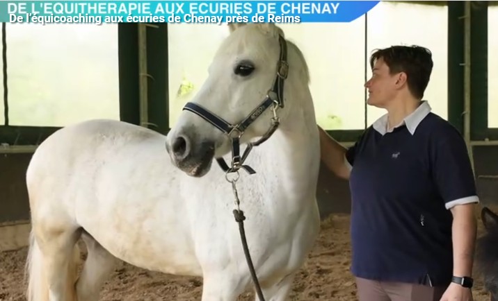 vidéo équicoaching médiation équine dans la presse