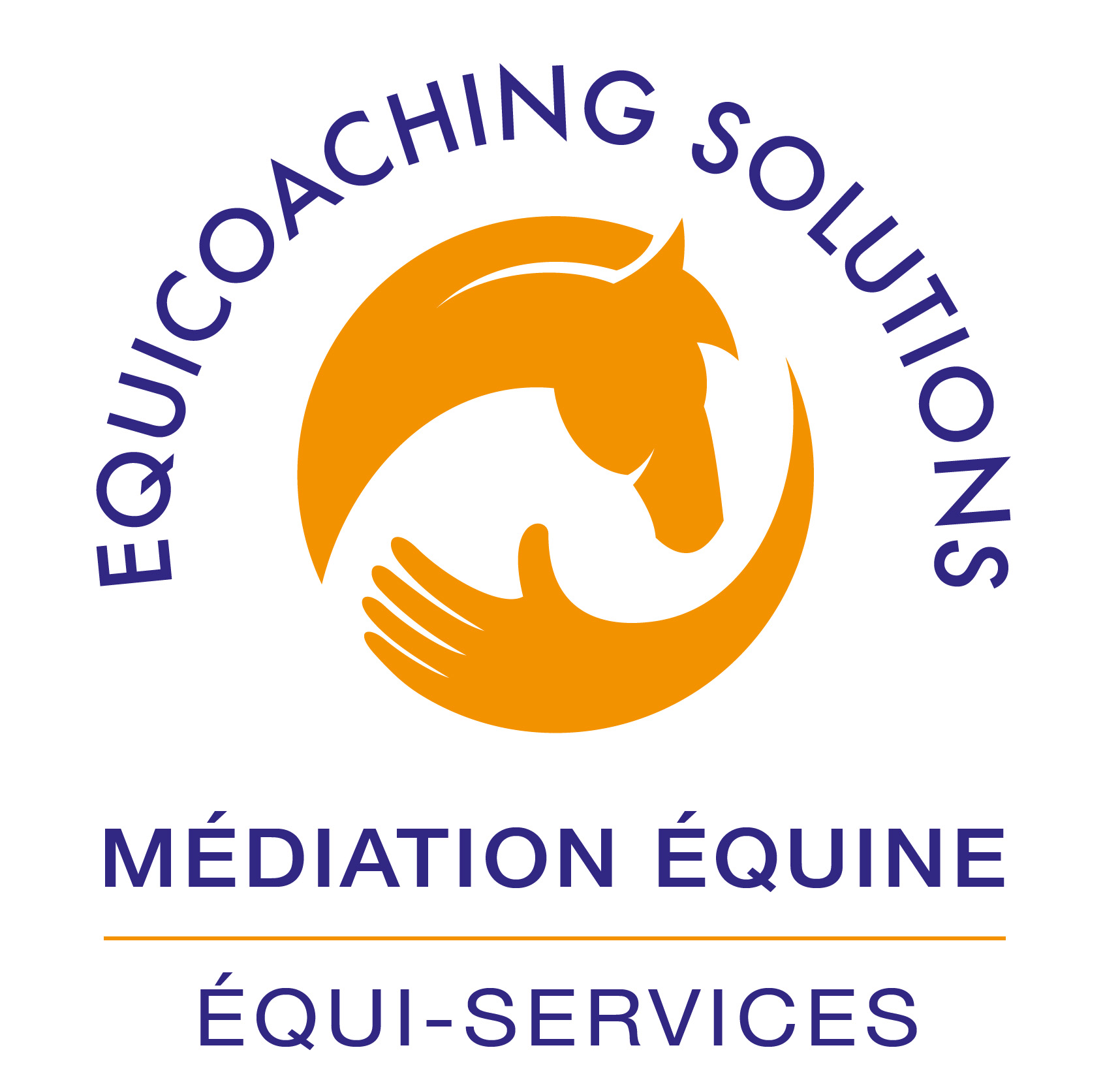 equicoachingsolutions.fr