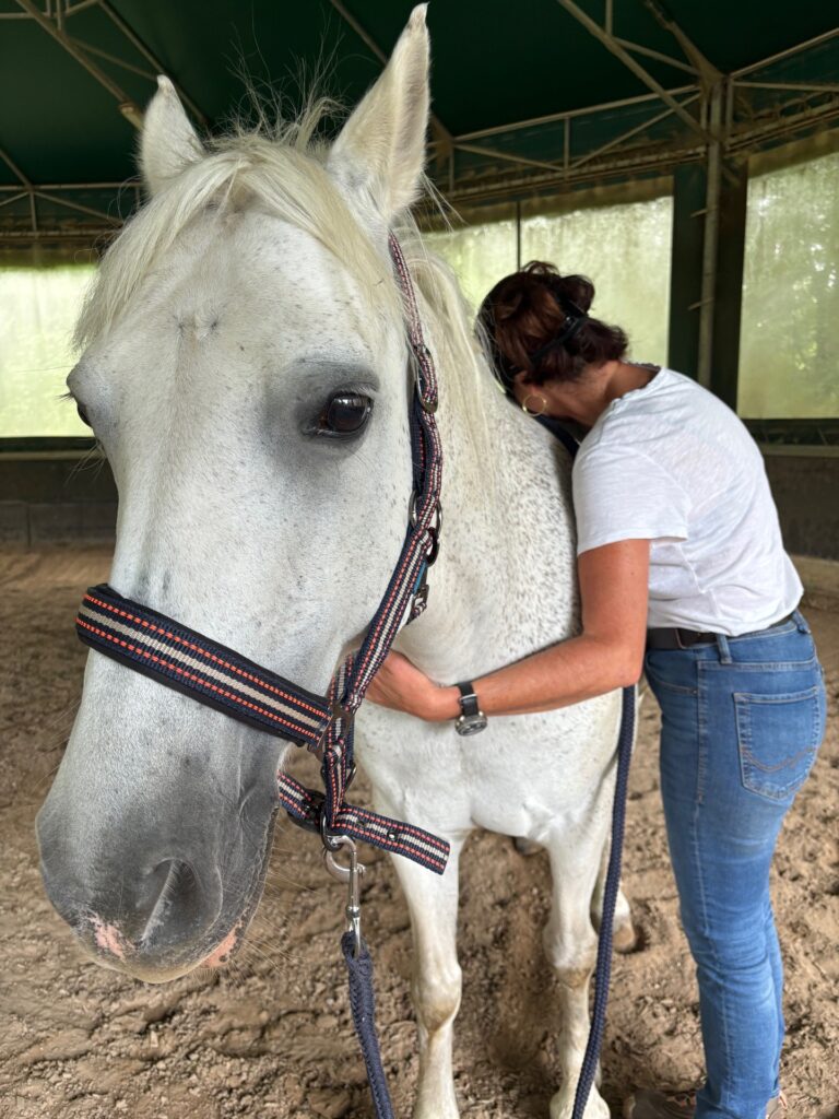 lâcher prise avec un cheval