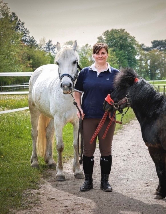 Tarifs devant paddocks