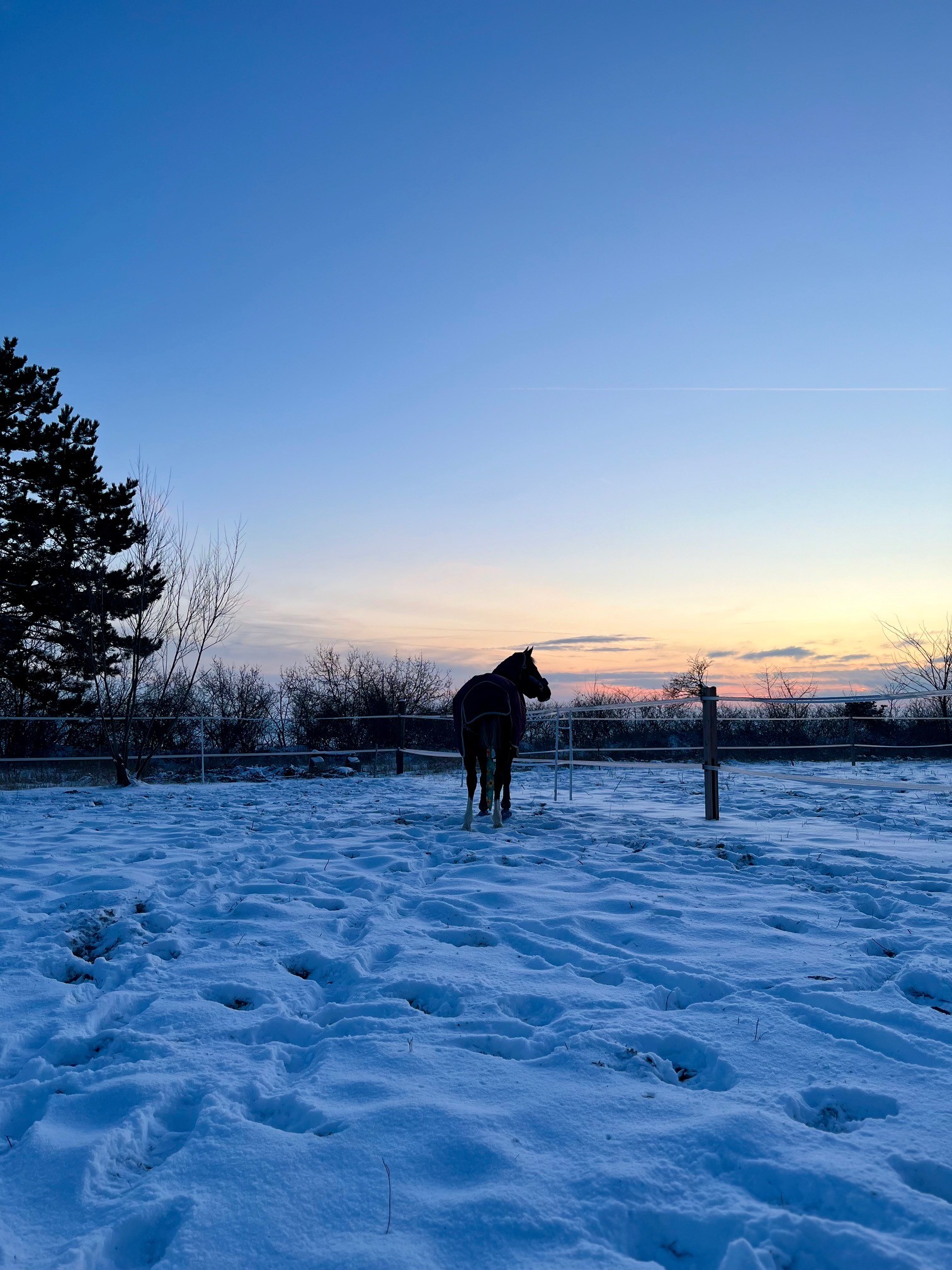 Home neige
